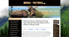 Desktop Screenshot of moose-pictures.com
